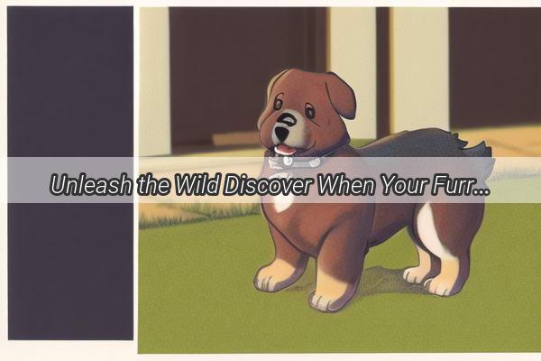 Unleash the Wild Discover When Your Furry Friend Can Say Goodbye to Clipping Sessions